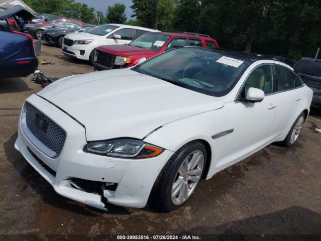 Photo 1 VIN: SAJWJ2GD2G8V83065 - JAGUAR XJ 