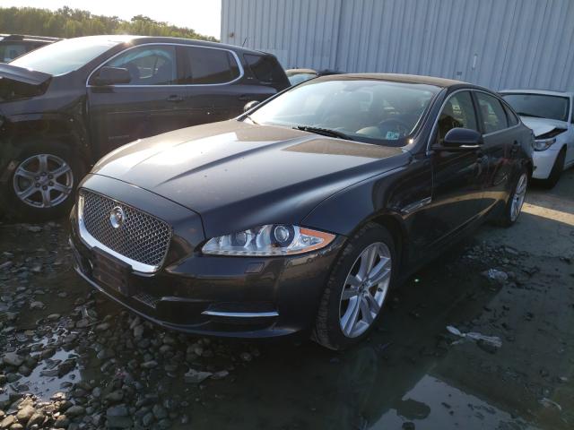 Photo 1 VIN: SAJWJ2GD9D8V49670 - JAGUAR XJL PORTFO 