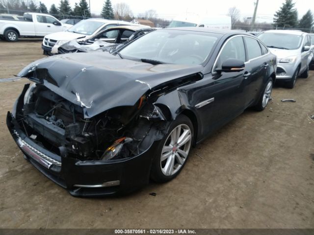 Photo 1 VIN: SAJWJ2GD9G8V99246 - JAGUAR XJ 