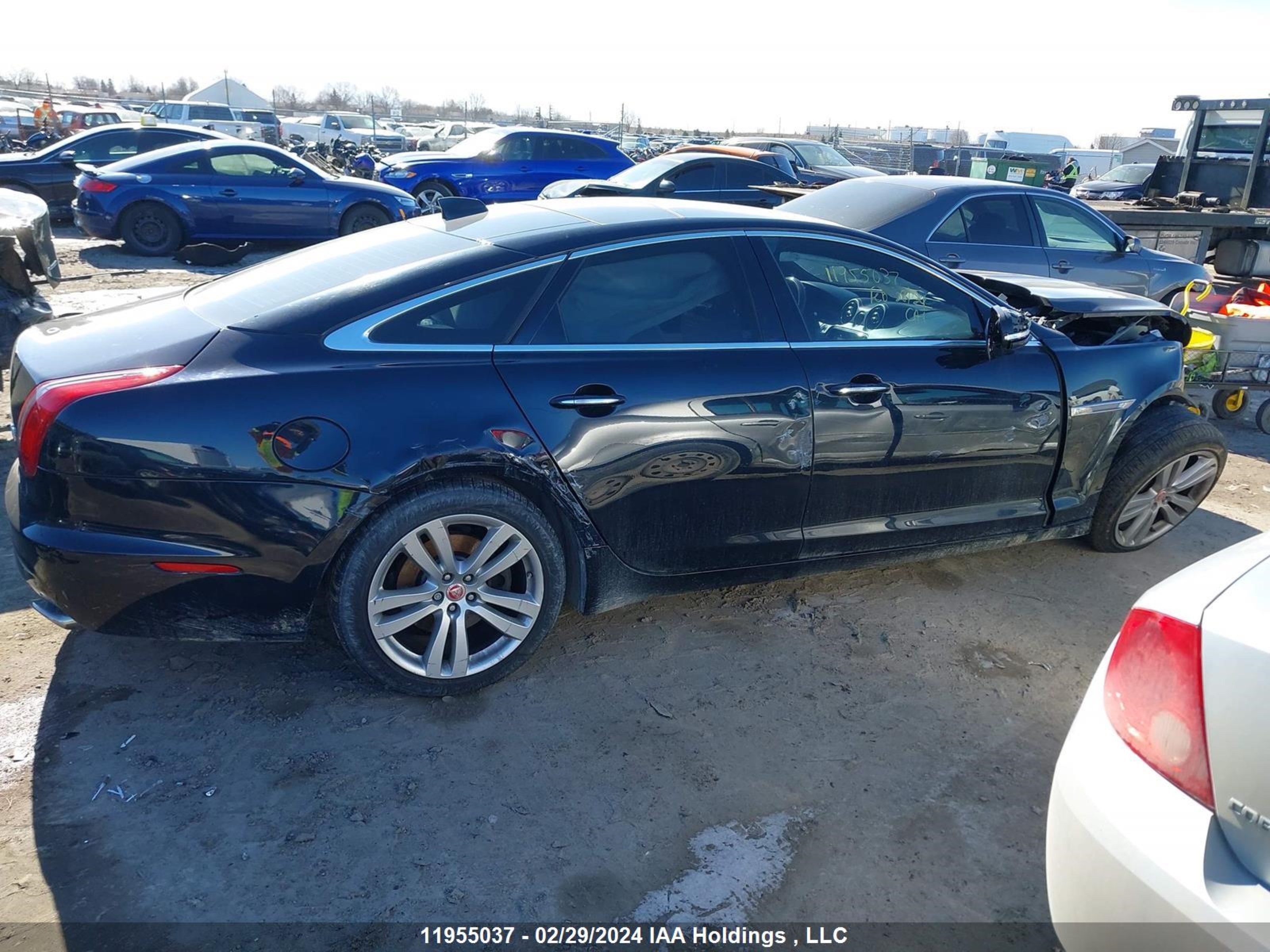 Photo 13 VIN: SAJXJ1GD6G8V92205 - JAGUAR XJ 