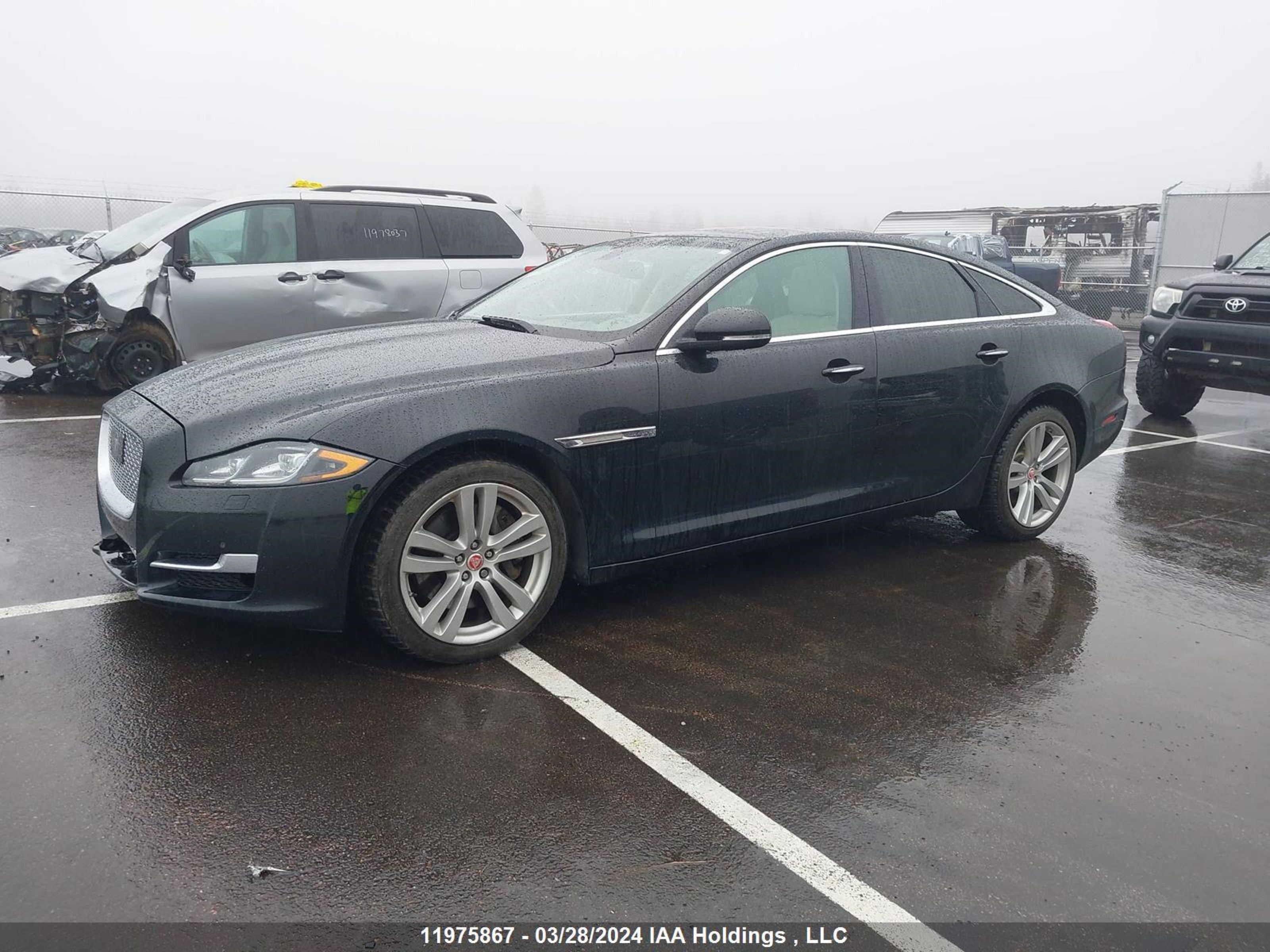 Photo 1 VIN: SAJXJ1GD9G8V93350 - JAGUAR XJ 