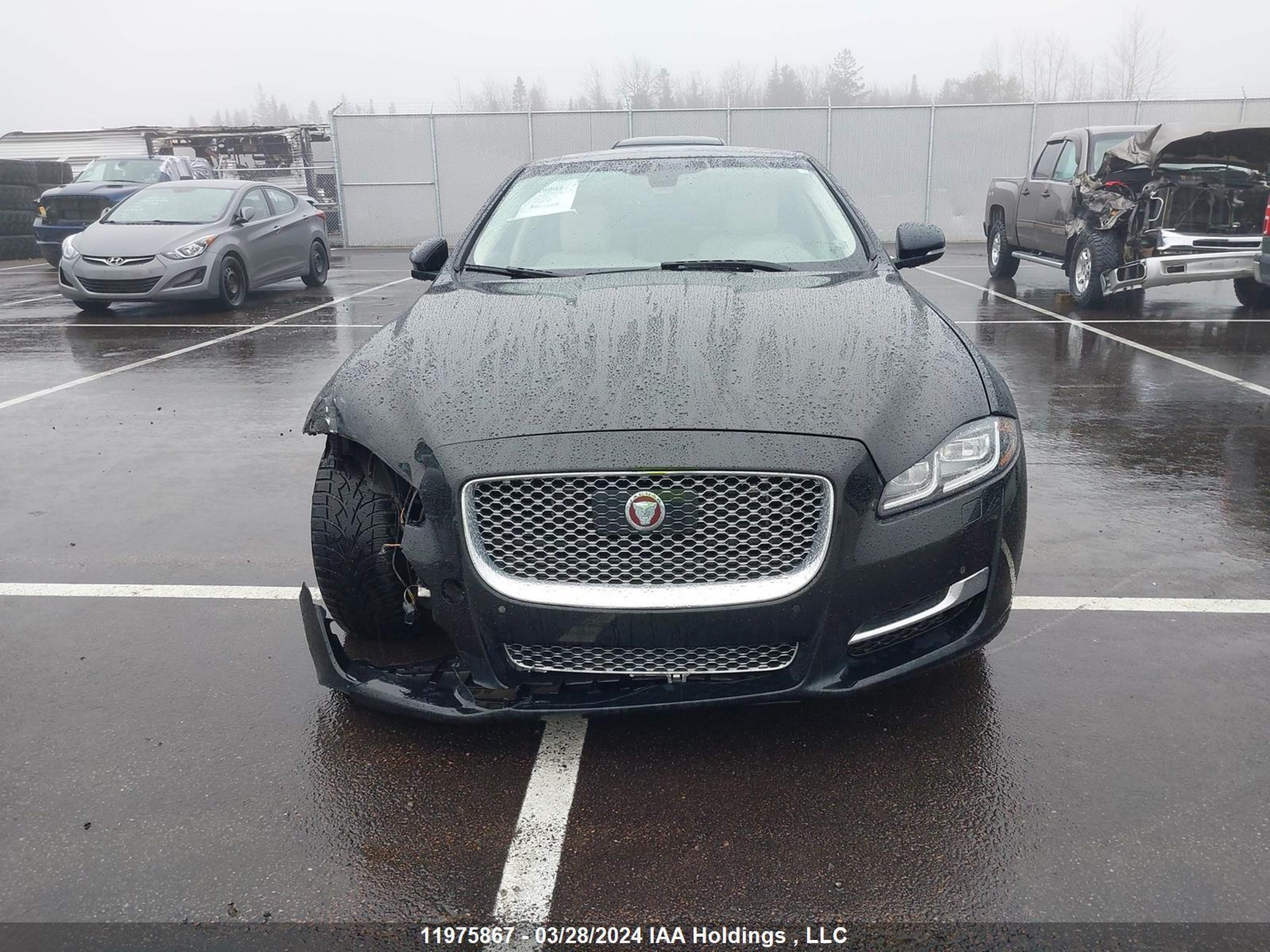 Photo 11 VIN: SAJXJ1GD9G8V93350 - JAGUAR XJ 