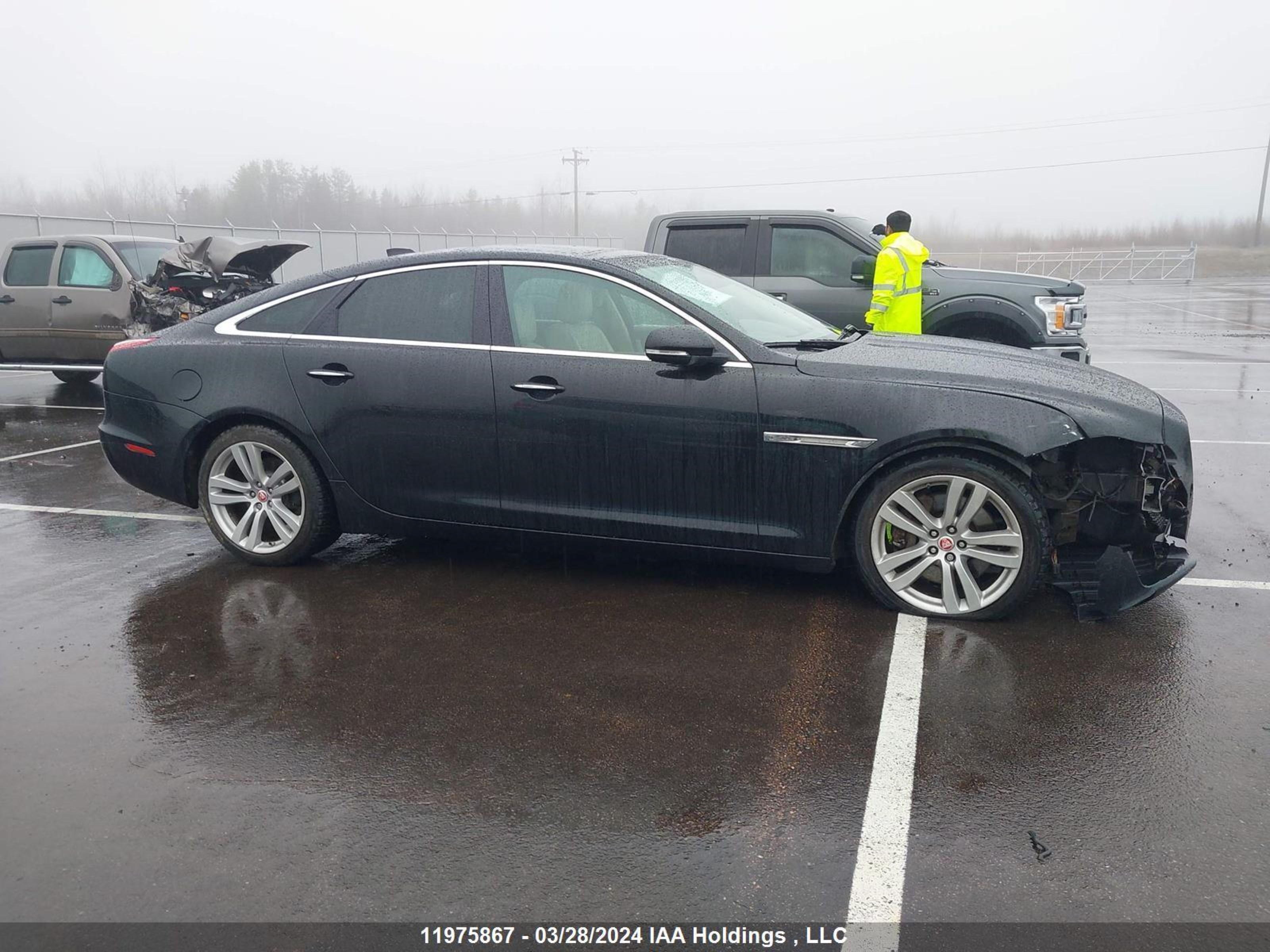 Photo 12 VIN: SAJXJ1GD9G8V93350 - JAGUAR XJ 