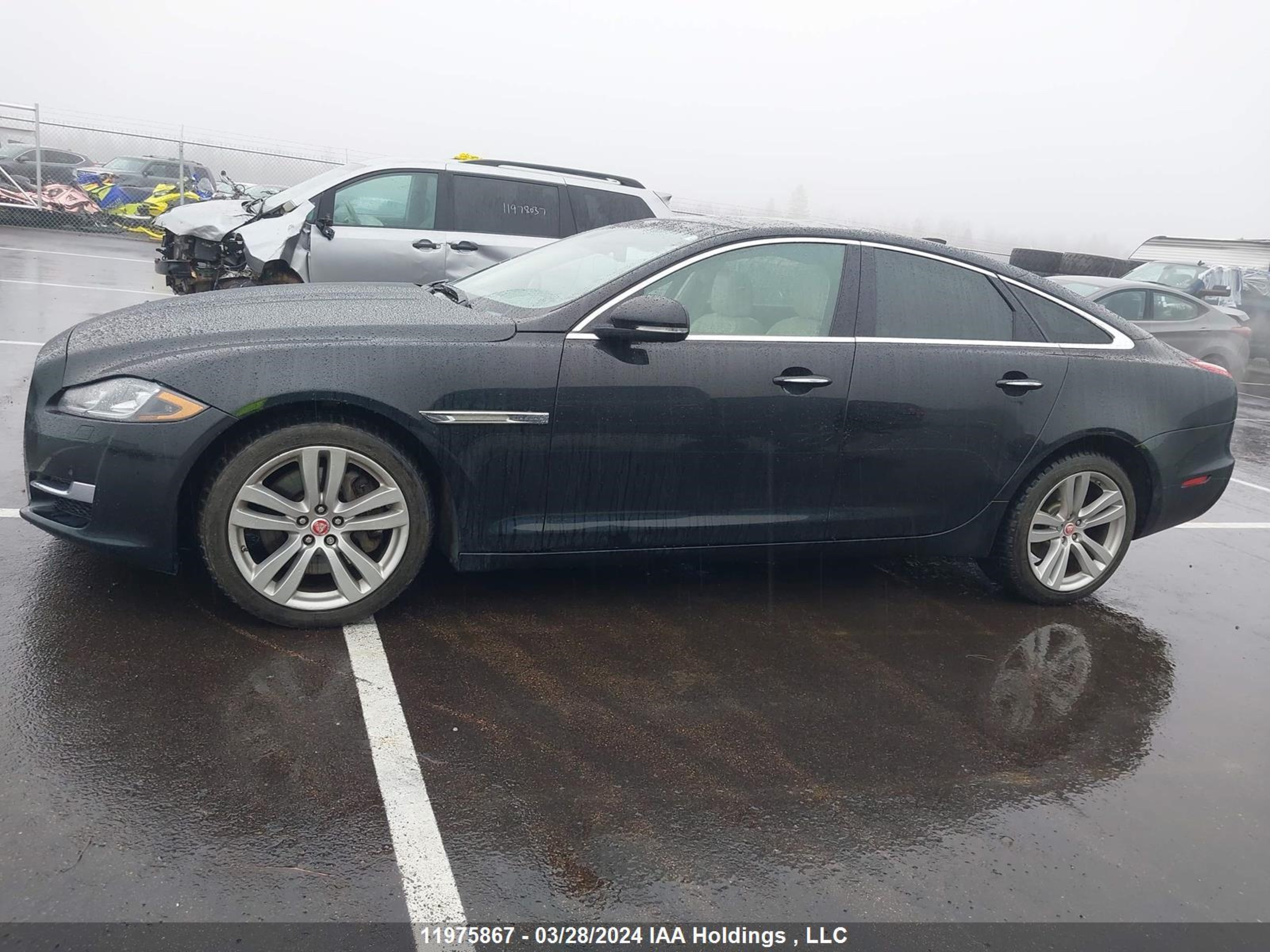 Photo 13 VIN: SAJXJ1GD9G8V93350 - JAGUAR XJ 