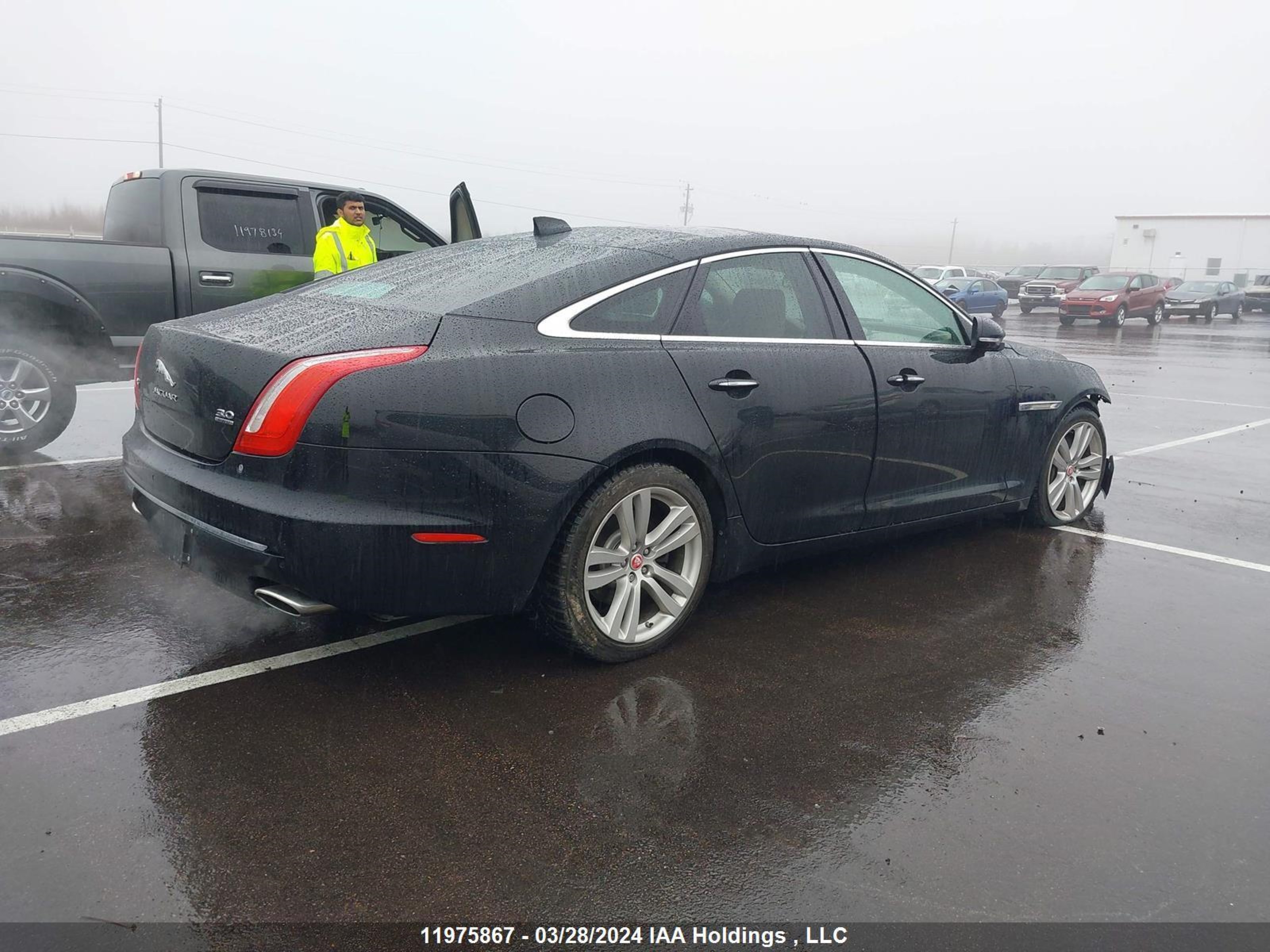 Photo 3 VIN: SAJXJ1GD9G8V93350 - JAGUAR XJ 