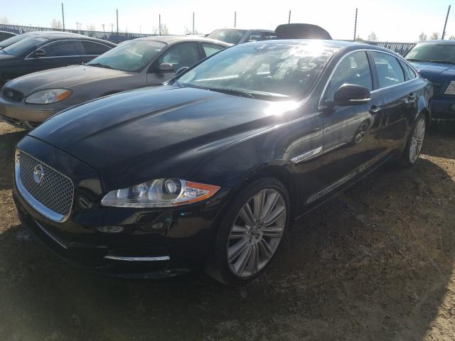 Photo 1 VIN: SAJXJ2GD8D8V44710 - JAGUAR XJL PORTFO 