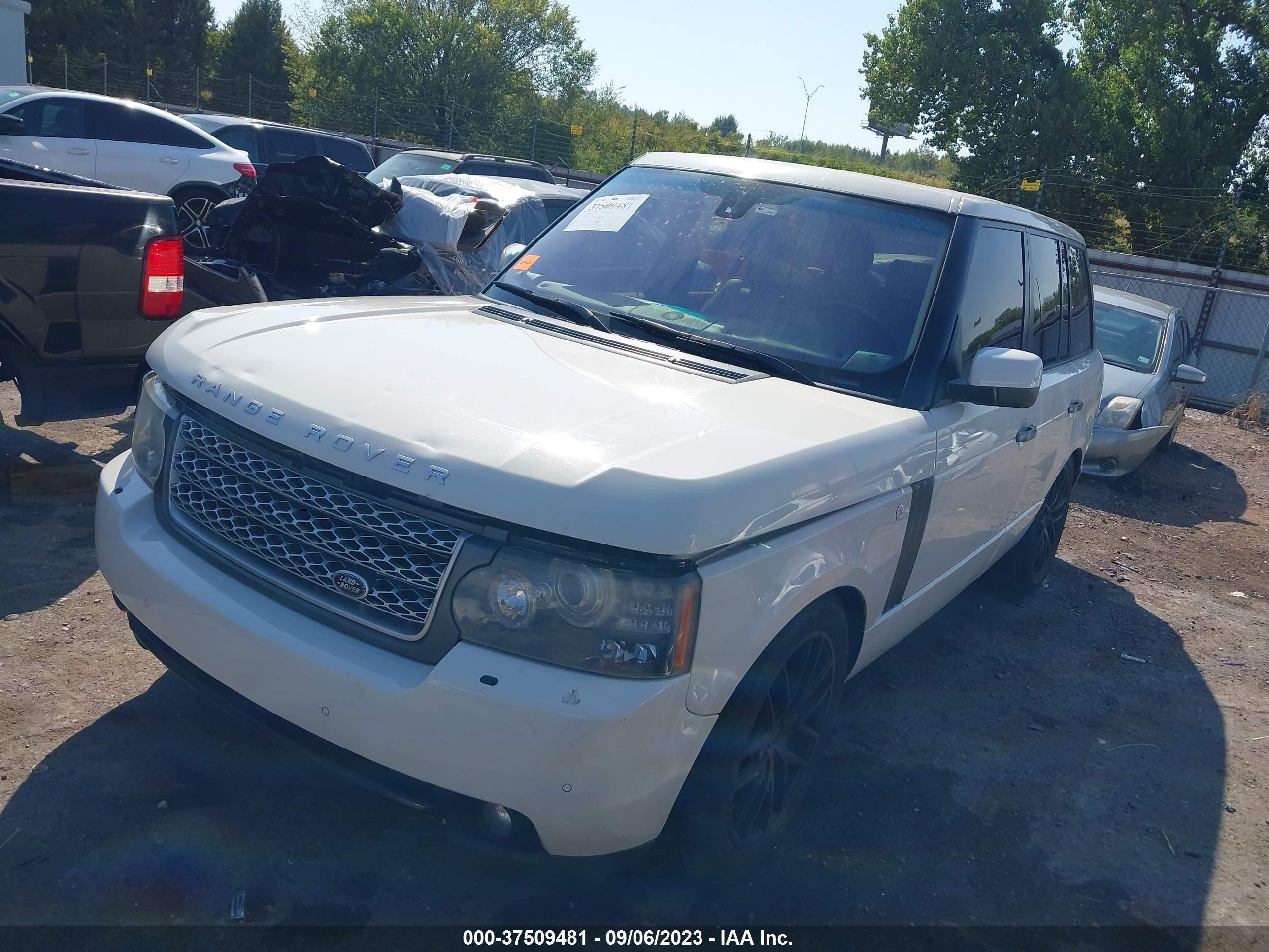 Photo 1 VIN: SALMF1D42AA309945 - LAND-ROVER RANGE ROVER 