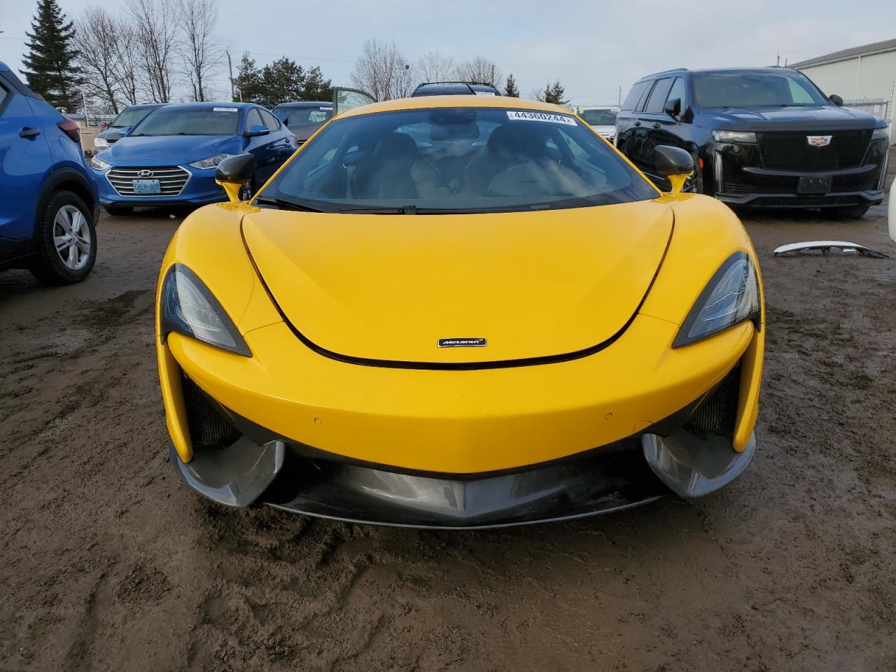 Photo 4 VIN: SBM13CAA0HW001296 - MCLAREN 540C 