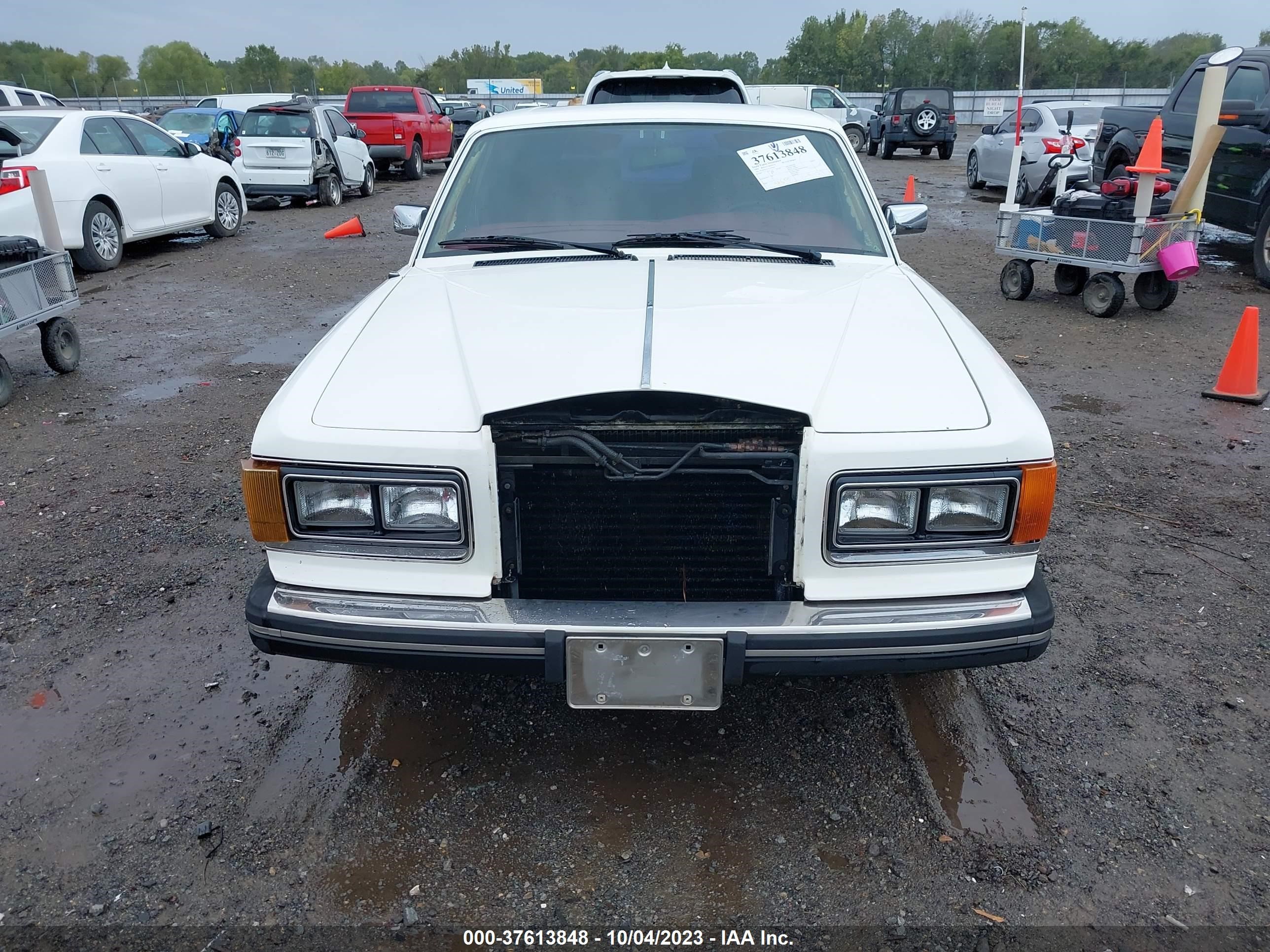 Photo 10 VIN: SCAZS42A1ECX09208 - ROLLS-ROYCE SILVER SPIRIT 