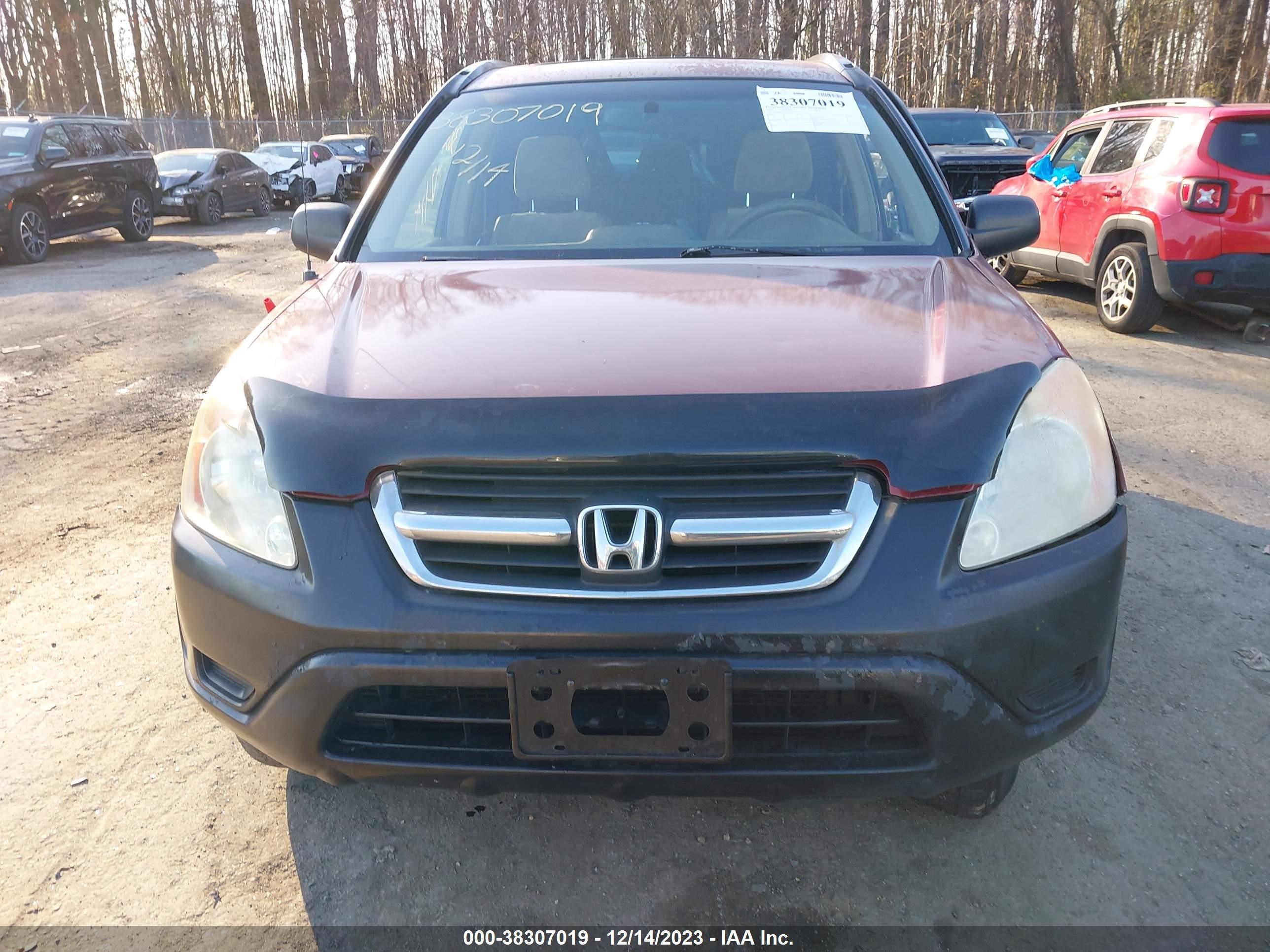 Photo 11 VIN: SHSRD78824U242299 - HONDA CR-V 