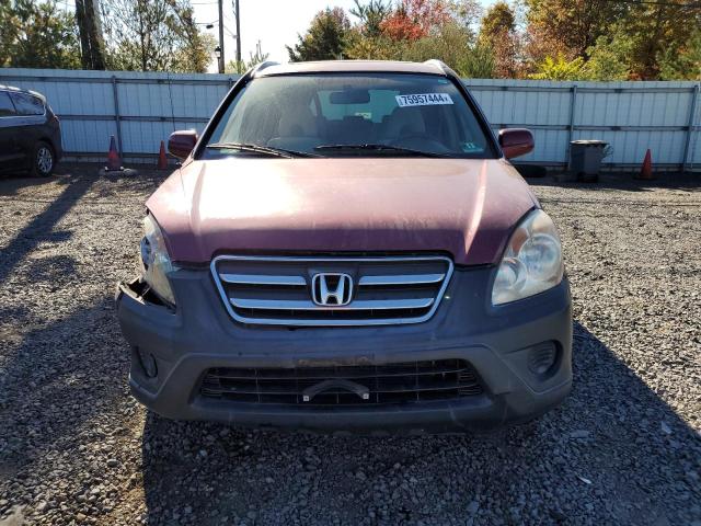 Photo 4 VIN: SHSRD78836U440022 - HONDA CR-V EX 