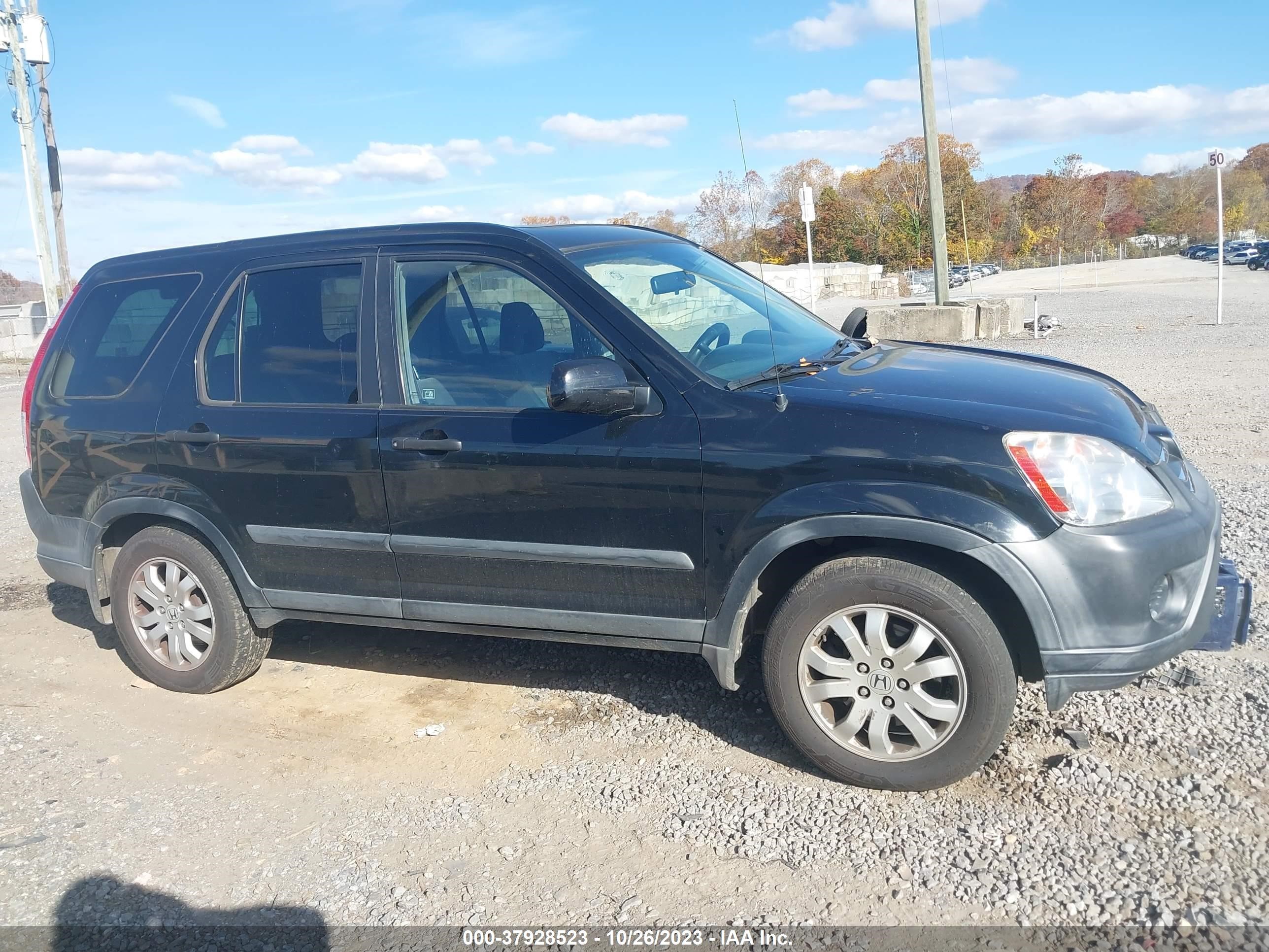 Photo 12 VIN: SHSRD78855U307440 - HONDA CR-V 