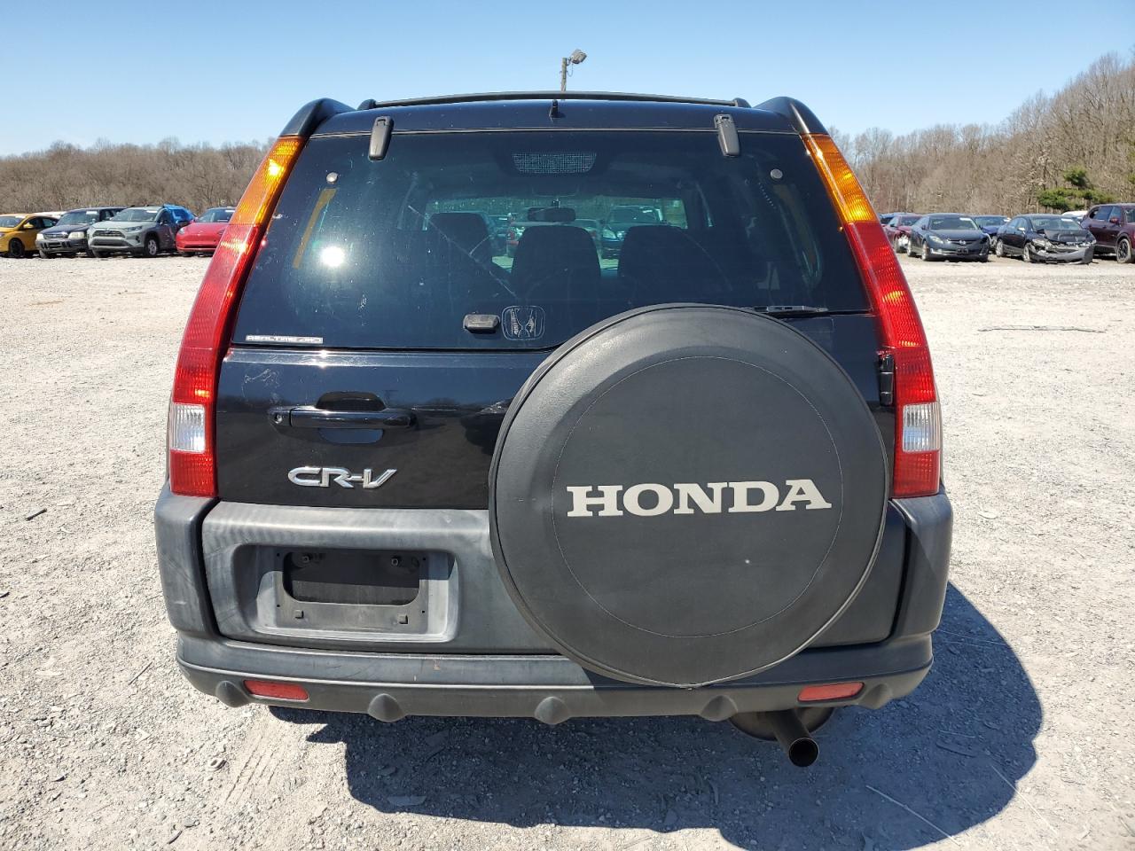 Photo 5 VIN: SHSRD78874U213798 - HONDA CR-V 