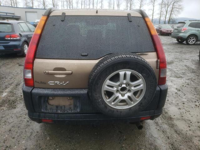 Photo 5 VIN: SHSRD78882U005863 - HONDA CRV 