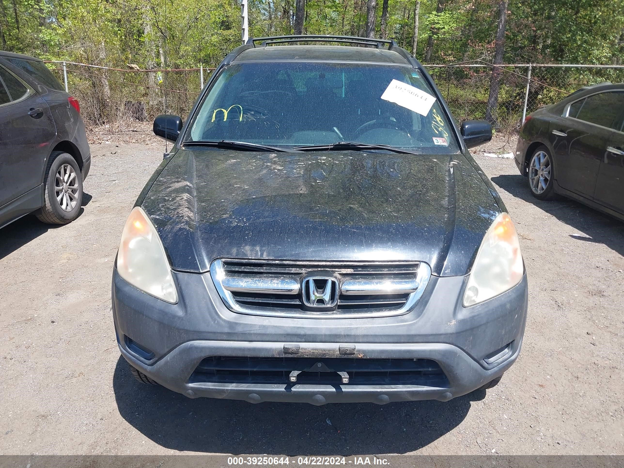 Photo 5 VIN: SHSRD78894U249038 - HONDA CR-V 