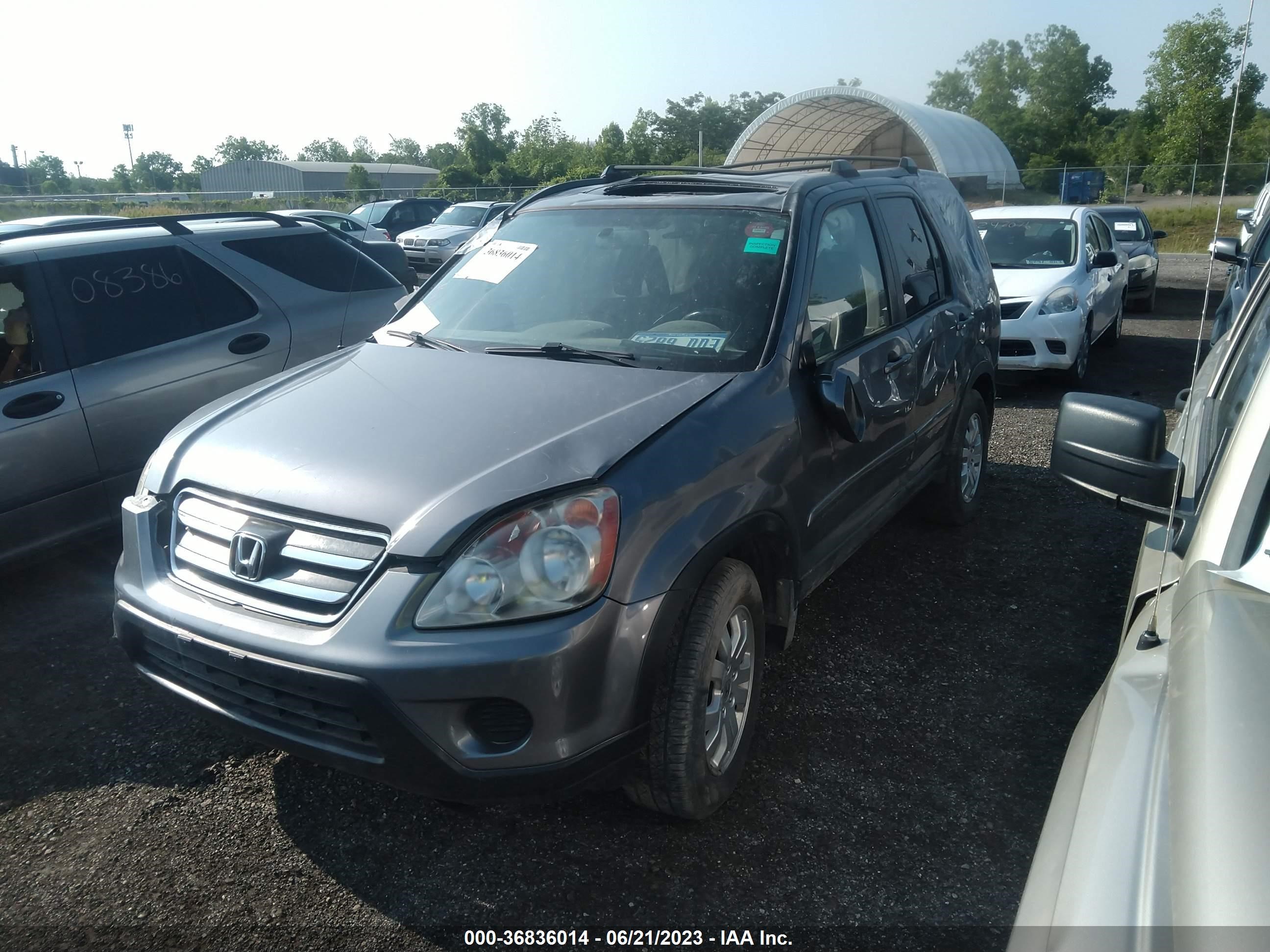 Photo 1 VIN: SHSRD78965U328189 - HONDA CR-V 