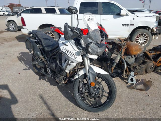 Photo 0 VIN: SMTE04BF2KT908452 - TRIUMPH TIGER 