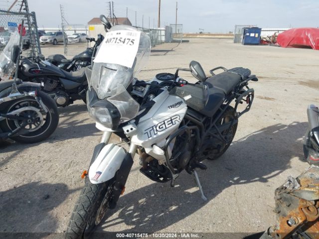 Photo 1 VIN: SMTE04BF2KT908452 - TRIUMPH TIGER 