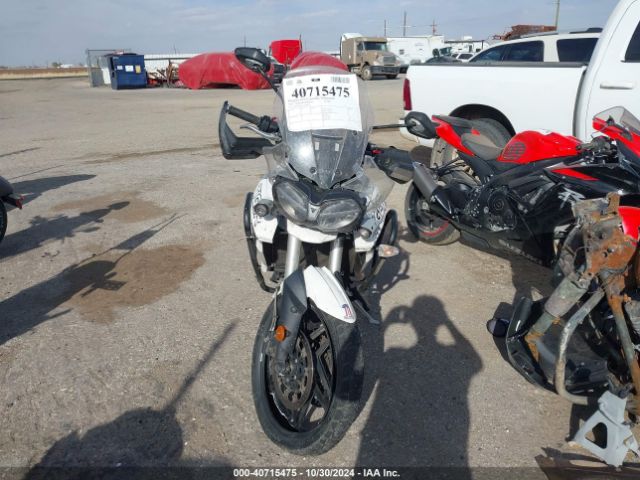 Photo 4 VIN: SMTE04BF2KT908452 - TRIUMPH TIGER 