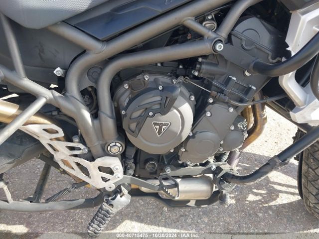 Photo 7 VIN: SMTE04BF2KT908452 - TRIUMPH TIGER 