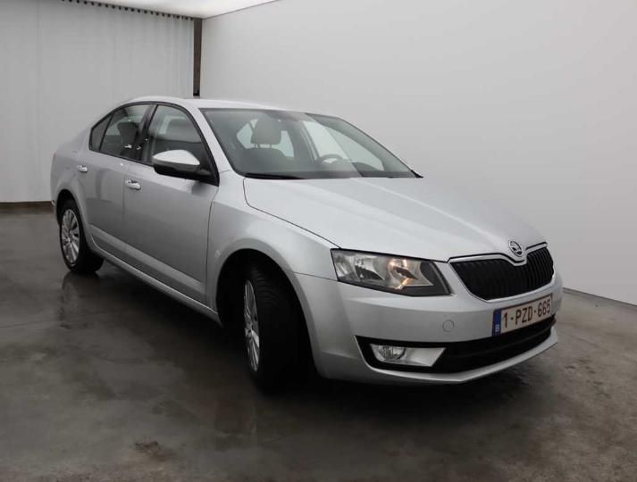 Photo 8 VIN: TMBAF7NE0H0081500 - SKODA OCTAVIA 