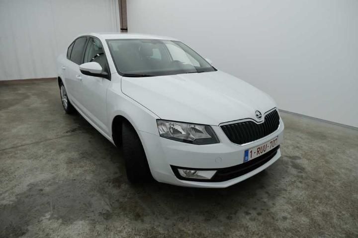 Photo 8 VIN: TMBAF7NE9H0146098 - SKODA OCTAVIA 