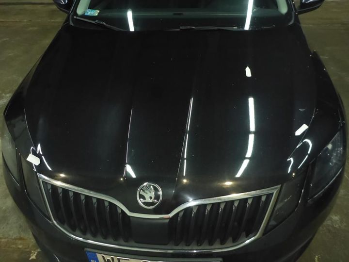 Photo 31 VIN: TMBAG7NE3K0095153 - SKODA OCTAVIA 