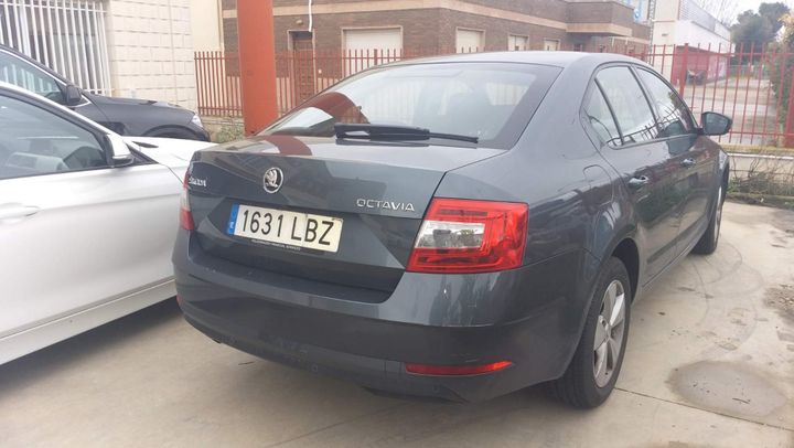 Photo 10 VIN: TMBAG7NE4K0206731 - SKODA OCTAVIA 