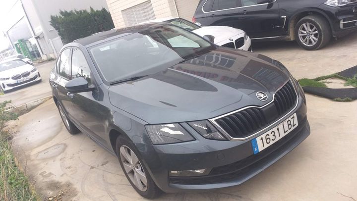 Photo 15 VIN: TMBAG7NE4K0206731 - SKODA OCTAVIA 