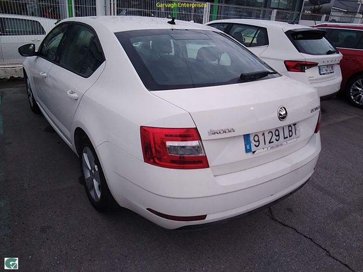 Photo 12 VIN: TMBAG7NE5K0204597 - SKODA OCTAVIA 