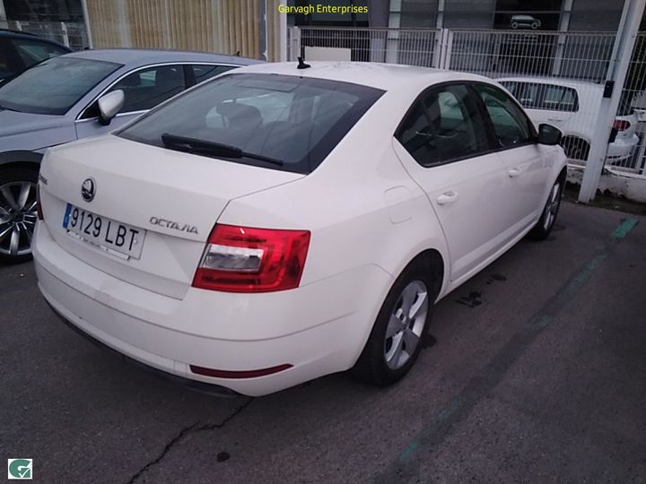 Photo 23 VIN: TMBAG7NE5K0204597 - SKODA OCTAVIA 