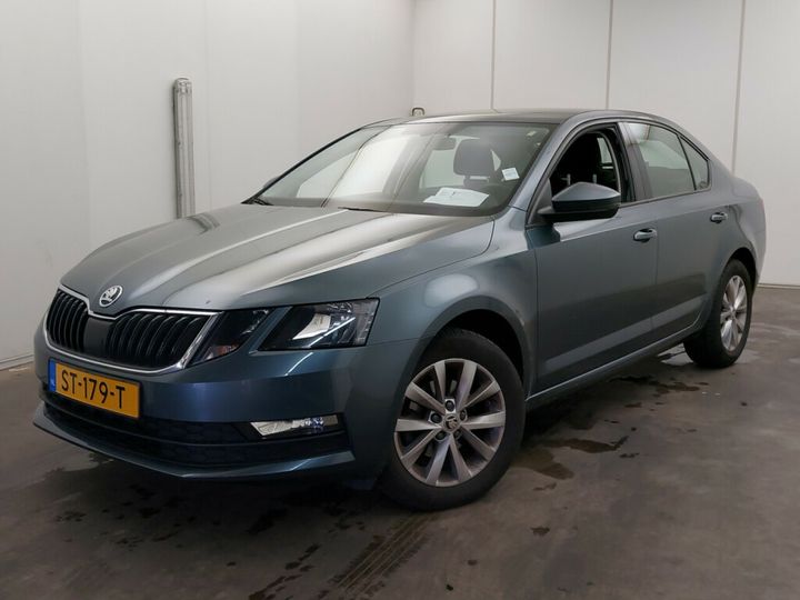 Photo 0 VIN: TMBAG9NE1J0316257 - SKODA OCTAVIA 