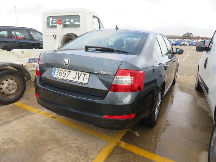 Photo 2 VIN: TMBAJ7NE2H0117556 - SKODA OCTAVIA 