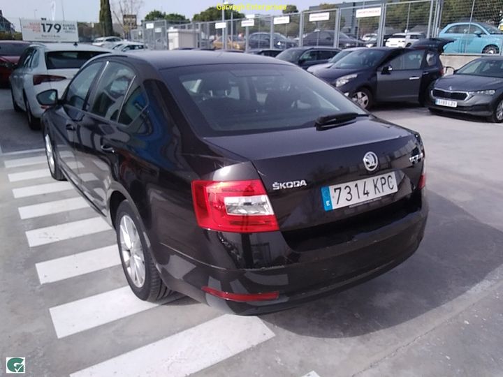 Photo 12 VIN: TMBAJ7NE2J0357809 - SKODA OCTAVIA 