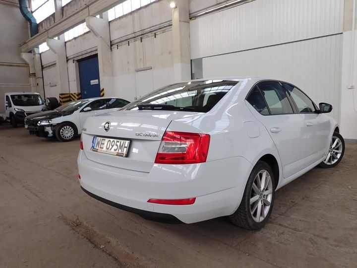 Photo 3 VIN: TMBAJ9NE4G0218737 - SKODA OCTAVIA A7 