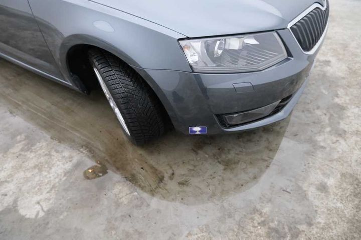 Photo 17 VIN: TMBAJ9NE8H0081531 - SKODA OCTAVIA &#3913 