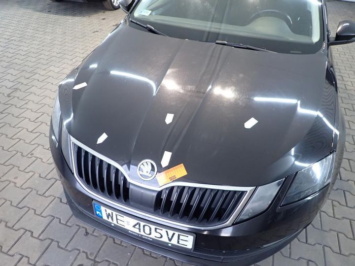 Photo 32 VIN: TMBJG7NE3K0018668 - SKODA OCTAVIA 