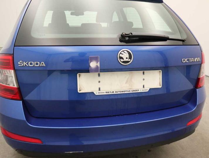 Photo 19 VIN: TMBJG9NE0G0123171 - SKODA OCTAVIA 