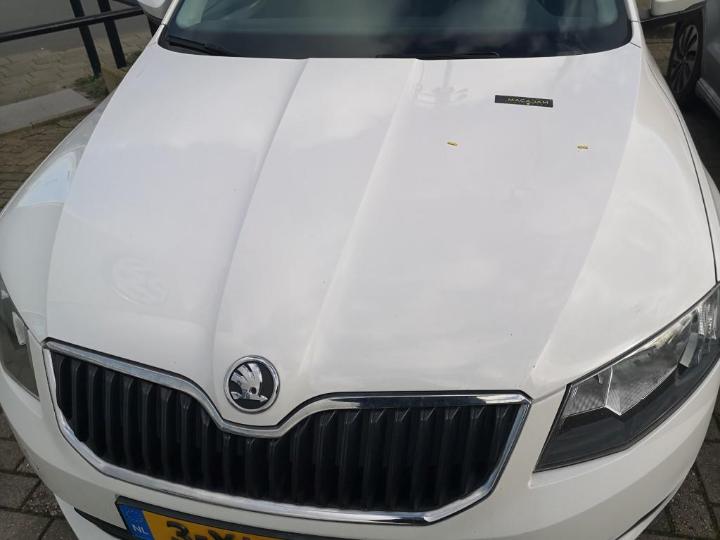 Photo 29 VIN: TMBJJ9NE3F0050264 - SKODA OCTAVIA 