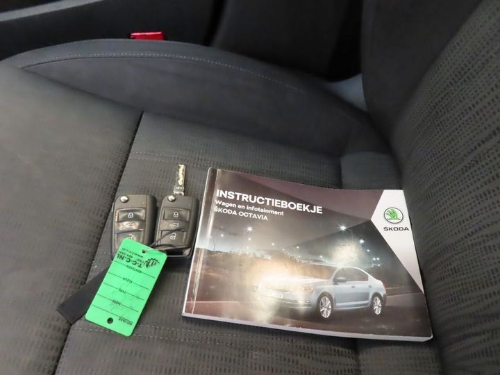 Photo 10 VIN: TMBJJ9NE4J0273423 - SKODA OCTAVIA 