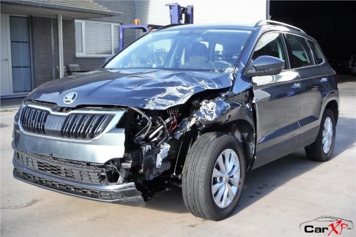 Photo 1 VIN: TMBJP7NU5L5010342 - SKODA KAROQ SUV 