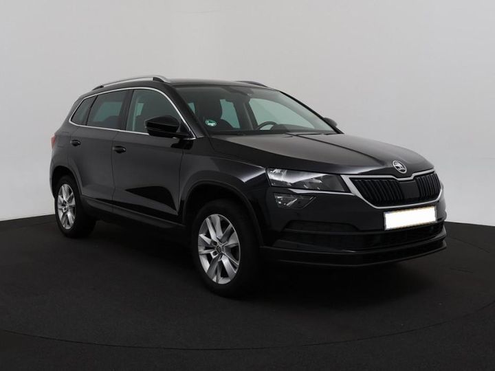 Photo 19 VIN: TMBJR7NU0KJ009826 - SKODA KAROQ 