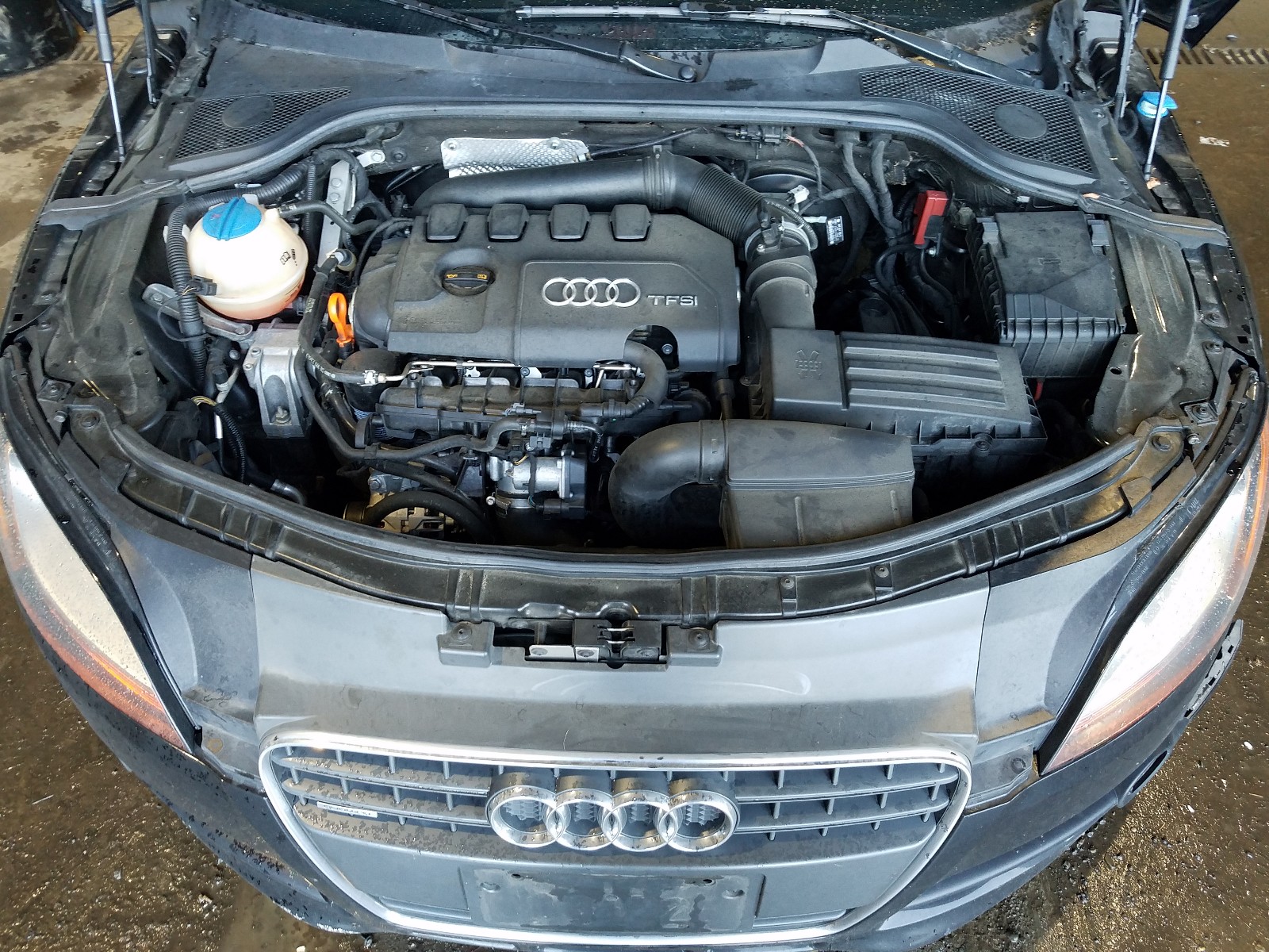 Photo 6 VIN: TRUXF38J891006170 - AUDI TT 