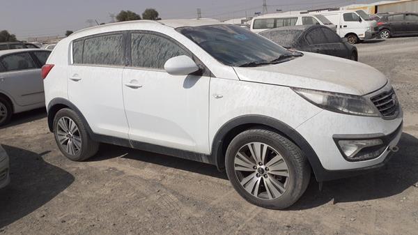 Photo 9 VIN: U5YPB81A6GL668654 - KIA SPORTAGE 