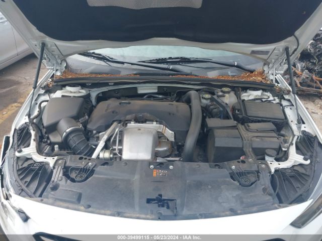 Photo 9 VIN: W04GU8SX3J1174355 - BUICK REGAL TOURX 