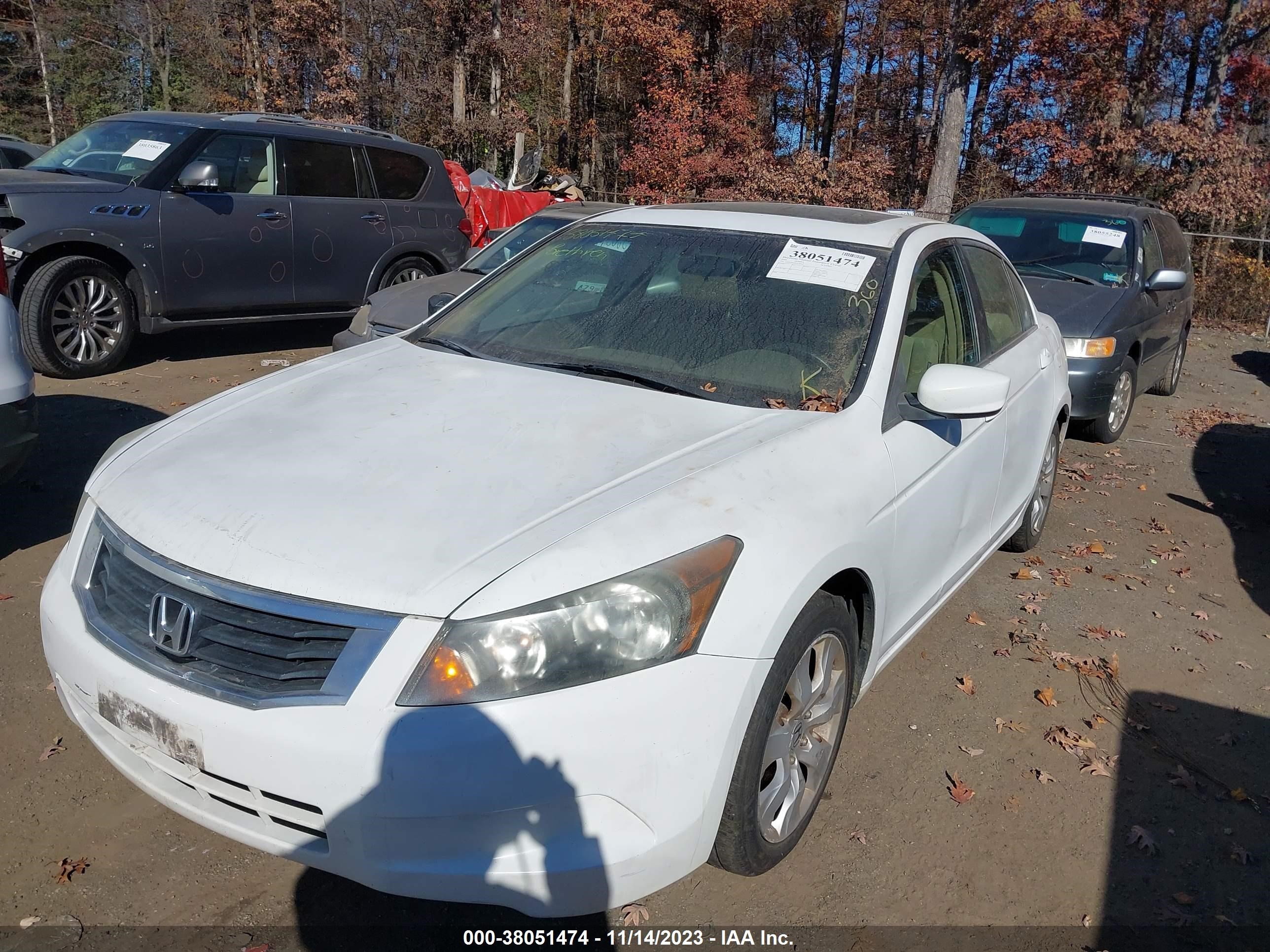 Photo 5 VIN: W0LGS6E18H1055183 - HONDA ACCORD 