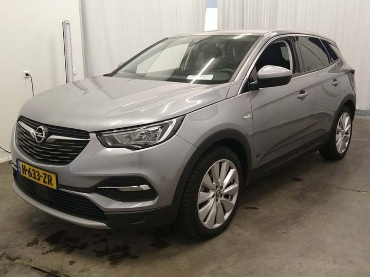 Photo 0 VIN: W0VZ45GB9LS087489 - OPEL GRANDLAND 