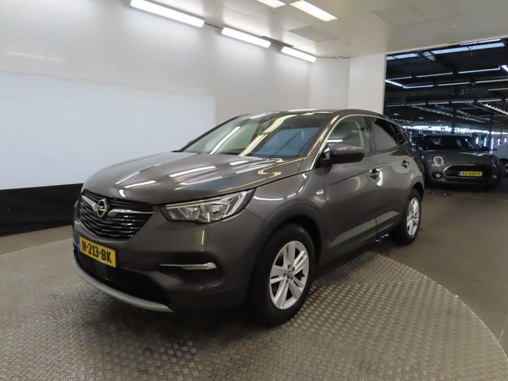 Photo 1 VIN: W0VZRHNS1L6007813 - OPEL GRANDLAND X 