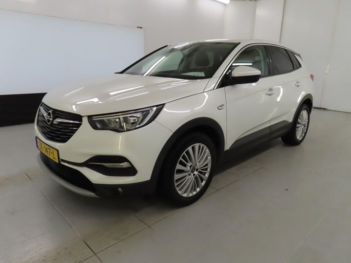 Photo 0 VIN: W0VZRHNS3KS203743 - OPEL GRANDLAND X 