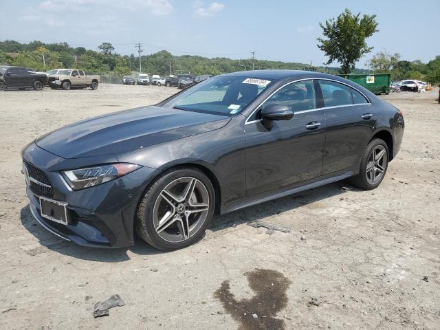 Photo 0 VIN: W1K2J5KB0NA107669 - MERCEDES-BENZ CLS 450 4M 